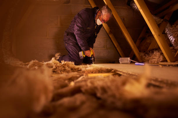 Best Energy-Efficient Insulation  in USA